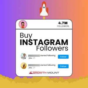 Premium Instagram Followers Product